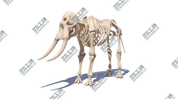 images/goods_img/20210312/Elephant Skin And Skeleton 3D/4.jpg